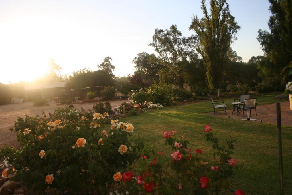 Newell Motor Inn Narrandera Ngoại thất bức ảnh